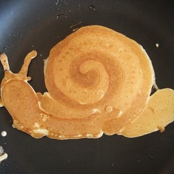 Meet your Posher, Lotus - Picture 5 of 5